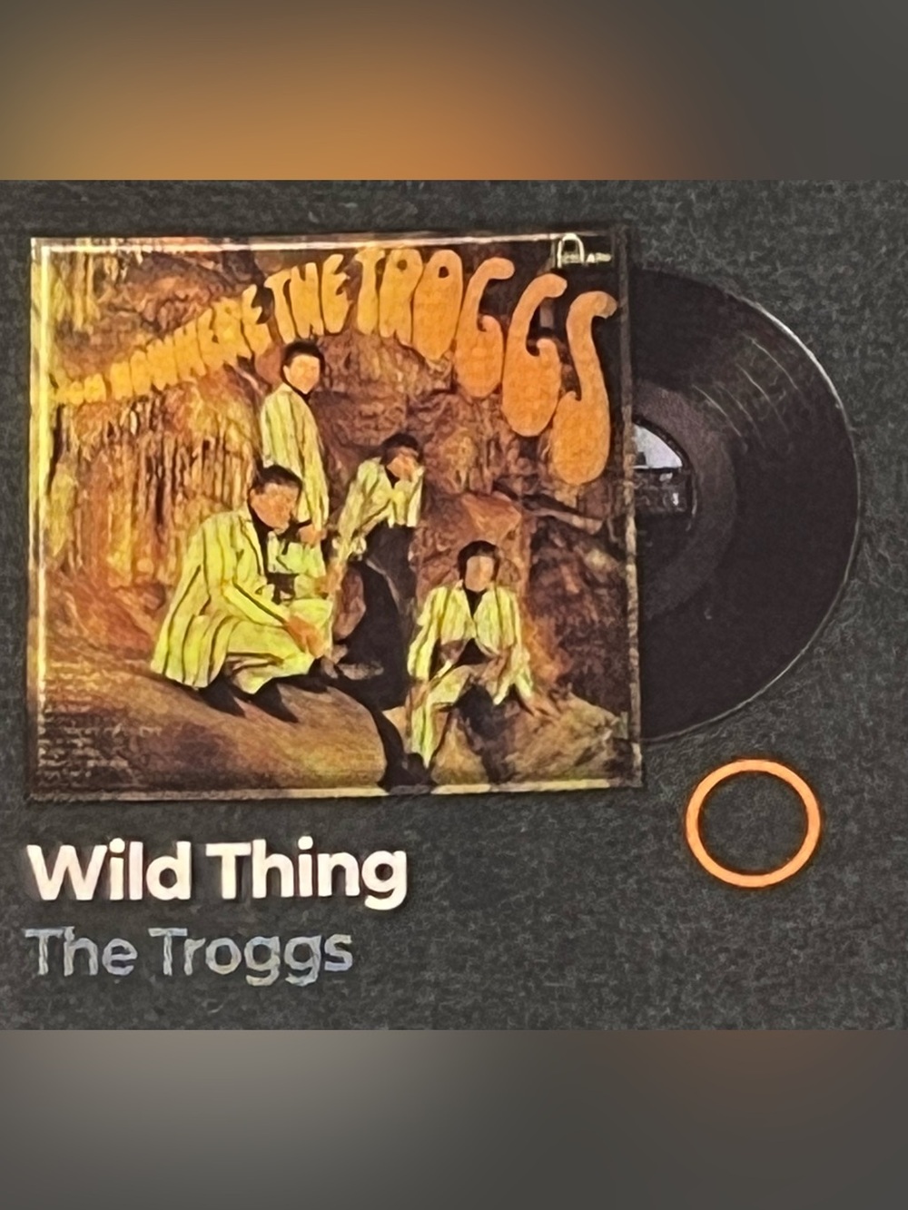 Mini Brands Vinyl The Troggs “Wild Thing” Record New